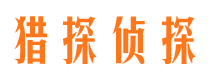 历下市调查公司